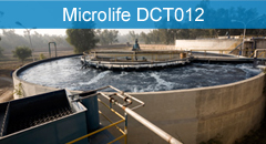 Microlife DCT012 
